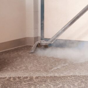 Steam Carpet Cleaning (Commercial)